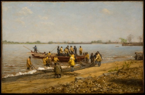 Shad Fishing